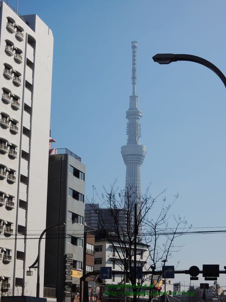 2015東京 3579.JPG