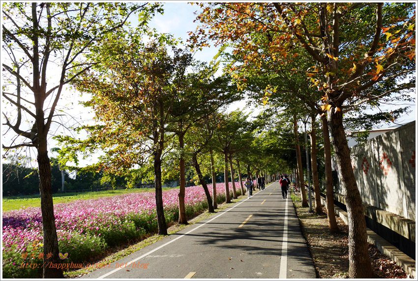 台中一日遊景點 潭雅神綠園道 騎車兜風賞美景橫跨潭子 大雅及神岡的自行車專用綠園道台中半日單車小旅行適合親子遊